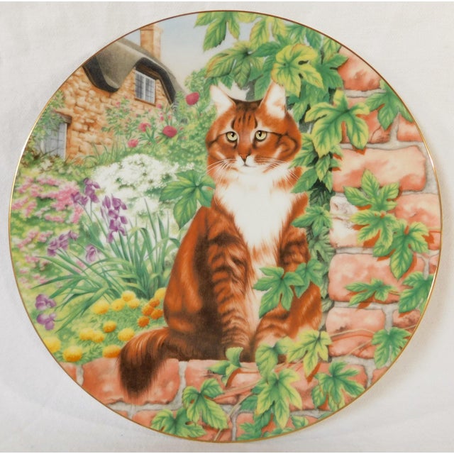 Gorgeous 1992 Coalport Silent Watcher's "Long-haired Tabby Cat" fine bone China collector plate. 24 karat gold trim edges....
