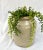 Vintage hand crafted French confit jar. Originally created to store food. The neutral palette of this classic pot have...