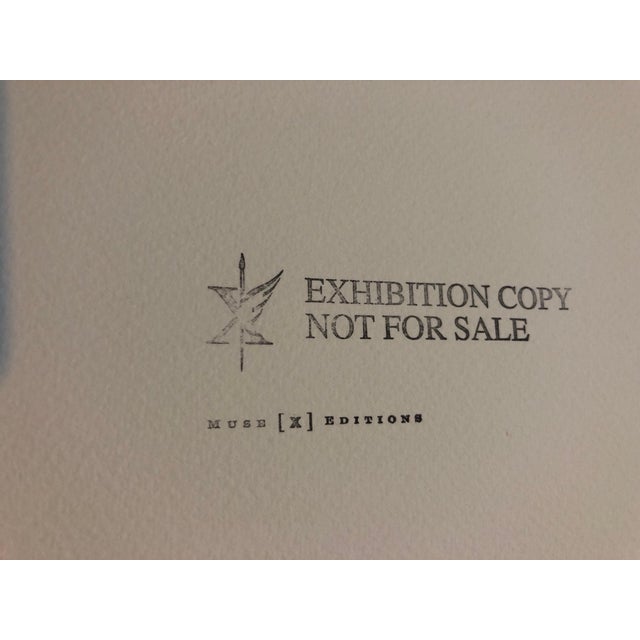 Victor Raphael, Space Field, Digital Iris Print Muse X Large Photograph on Heavy Paper, 1996 For Sale - Image 4 of 5