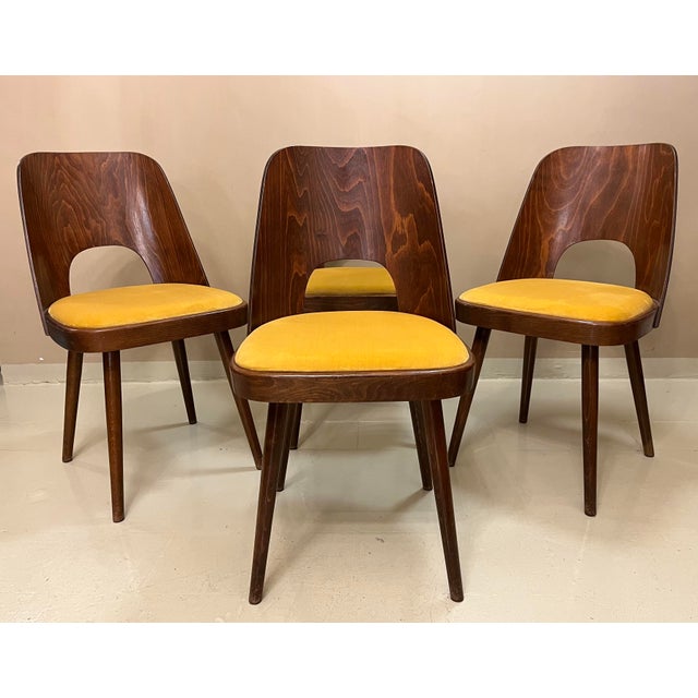 Brown Dining Chairs by Oswald Haerdtl for Ton, 1950s, Set of 4 For Sale - Image 8 of 8