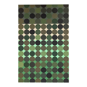 2009 Josef Albers the Interaction of Color Plate Xviii-2