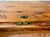 Mid-Century Modern Vintage Mid-Century Solid Pine Cedar Chest by Bally MFG Co For Sale - Image 3 of 15