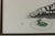 Vintage 1970’s Modernist Framed Etching of a Tiger Drinking From Pond For Sale In Philadelphia - Image 6 of 7