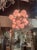 Beautiful decorative Murano glass chandelier in different shades of pink in a brass base. Makes an impressive impact. A...