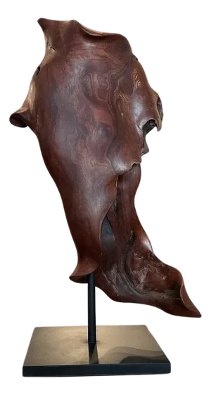 Andrianna Shamaris Ancient Wood Torso
