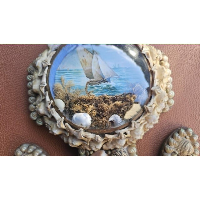 Victorian Anchor Seashell Maritime Diorama in Beech and Glass For Sale - Image 4 of 10