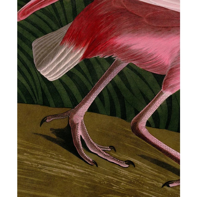 Wood Reproduction Audubon Roseate Spoonbill Triptych in Italian Black Veneer With Champagne Edge For Sale - Image 7 of 11