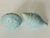 American Vintage Sea Shell Ceramic Salt and Paper Shakers For Sale - Image 3 of 5