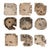 2020s Bahati Wood Bleached Wall Decor Set/9 For Sale - Image 5 of 5