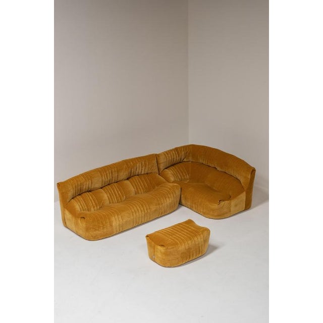 Aralia Modular Sofa by Michel Ducaroy for Ligne Roset, France, 1970s, Set of 3 For Sale - Image 3 of 18