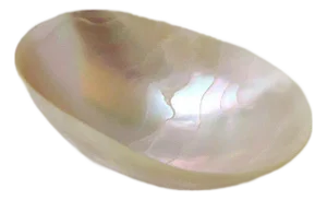 Mother of Pearl Dish Bowl Caviar