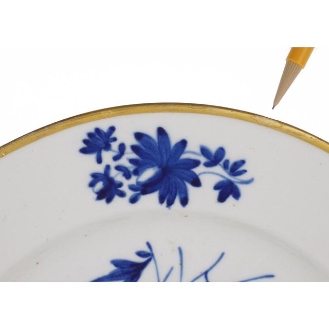Early 19th Century Georgian Derby Botanical Plate Duesbury Bloor Mark Blue Gilt - a Pair For Sale - Image 10 of 10