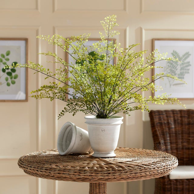 Kenneth Ludwig Chicago Maidenhair Drop-In 30" For Sale - Image 4 of 7