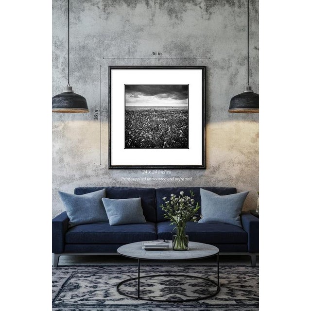 Fine art Giclee prints on Hahnemuhle Photo Rag 308gsm - a 100% cotton, acid-free, mould-made paper. Printed to Fine Art...