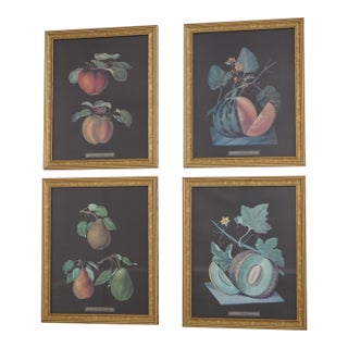 Set of 4 Gold Framed Fruit Botanical Prints For Sale