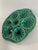 Rustic European 1930s Vintage French Sarreguemines Green Oyster Plate For Sale - Image 3 of 11