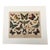 Moths, Natural History Colored Lithograph. Circa 1869 For Sale
