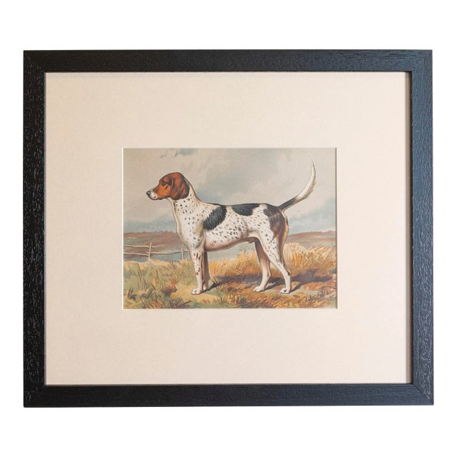 Single Print - Cassell, Petter, Galpin & Co Chromolithograph Dog Print in Black Frame For Sale