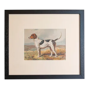 Single Print - Cassell, Petter, Galpin & Co Chromolithograph Dog Print in Black Frame