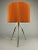 Mid-Century Tripod Floor Lamp, 1950s For Sale - Image 4 of 13