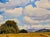 American Arthur Hill Gilbert -1930s California Farm Landscape With Oaks -Oil Painting For Sale - Image 3 of 9