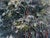 Oil Painting Winter Trail in the Forest Boris Serdyuk For Sale - Image 6 of 10
