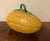 Mid 20th Century Portuguese Melon Form Majolica Tureen or Box With Vine & Leaf Handle For Sale - Image 5 of 12