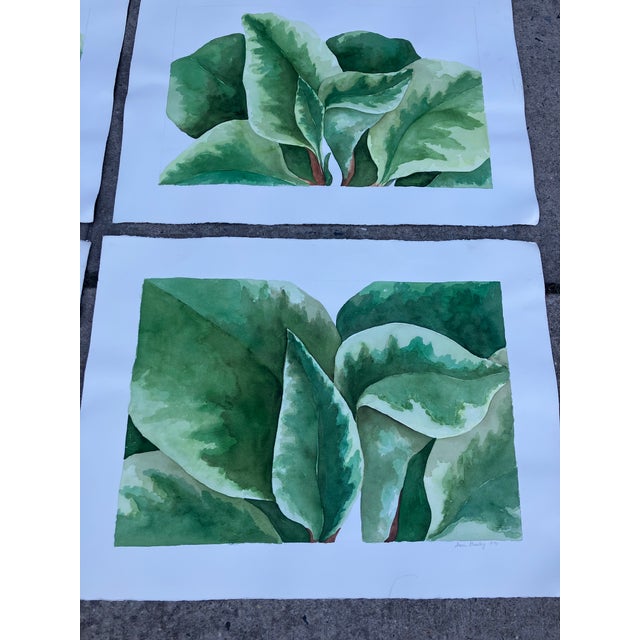 Contemporary 1970’s 4 Original Large Watercolor Paintings Palm Plants by Sharon Greenberg-Set of 4 For Sale - Image 3 of 7