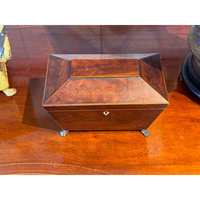English 19th Century Sarcophagus Form Tea Caddy With Brass Paw Feet For Sale - Image 3 of 7
