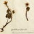 Pair of 19th-Century German Botanical Herbarium Sheets With Ranunculus Specimens (C. 1850) For Sale - Image 4 of 8