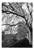 Paul Cooklin, Treeline, River Tiber, Rome, Edition of 50 For Sale