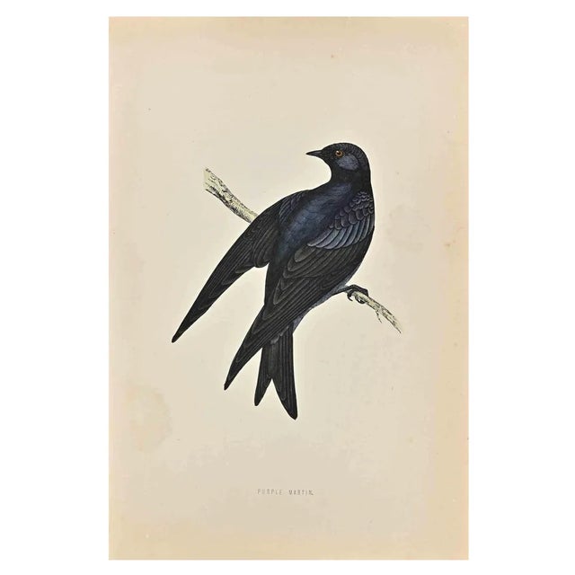 Alexander Francis Lydon, Purple Martin, Woodcut Print, 1870 For Sale