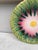 French Country French Majolica Daisy Plate Orchies, Circa 1890 For Sale - Image 3 of 5