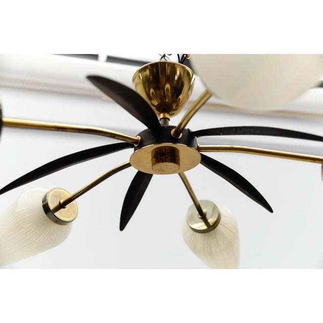 Mid-Century Modern 5-Armed Brass and Glass Sputnik Lamp, 1950s For Sale - Image 11 of 13
