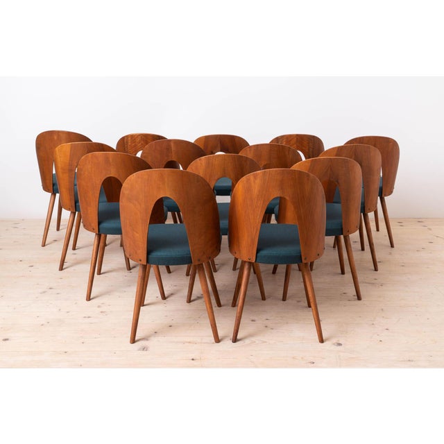 This set of fourteen vintage dining chairs was designed by czech designer antonin šuman in the 1960s. The chairs have been...