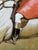 19th Century Hunting Painting “Hare Seeds Gentlemen! Hare Seeds With the Quorn Hunt” Tom Firr Huntsman on Horse Grey Whitelegs by Basil Nightingale For Sale - Image 12 of 18