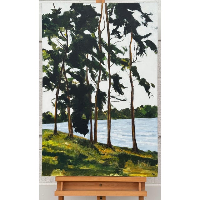 Tall Riverside Pine Trees in the English Countryside with dappled light & water 2009 For Sale - Image 13 of 16