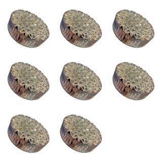 Mid-Century Round Clear Cut Glass Sconce or Flush Mount, Germany, 1960s For Sale