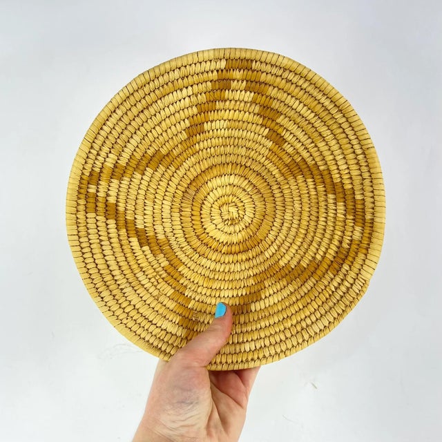 Textile Early 20th Century Botswana Basket 9inch MATTER COLLECTION For Sale - Image 7 of 9