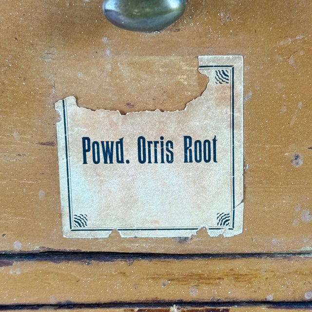 Spectacular Diminutive Antique Painted Pine Apothecary 3 Compartment Cupboard With Labels For Sale In New York - Image 6 of 16