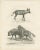 C.C. G. Zool., The Striped, Spotted, and Brown Hyenas in Detail, 1836, Lithograph For Sale - Image 7 of 11