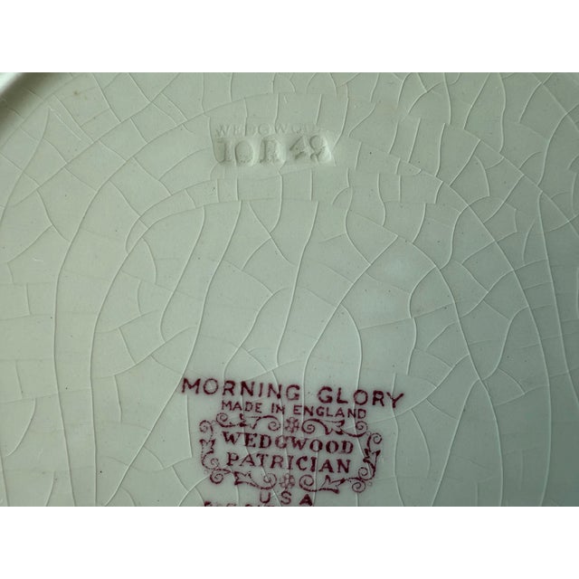 Set of 9 Wedgwood Dinner Plates in the Morning Glory Pattern For Sale - Image 11 of 13