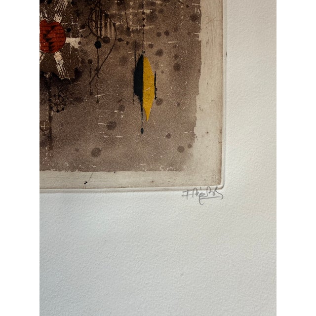 1970s Limited Edition Signed Aquatint Etching by Johnny Friedlaender 'Fleurs Viii' For Sale - Image 4 of 9