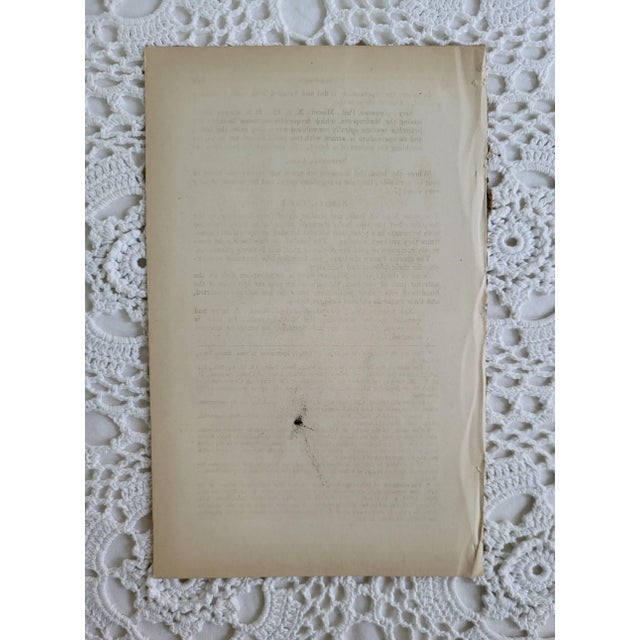 An original antique engraving from the book, Cuvier's Animal Kingdom featuring Annelides. It measures 5 ¼” x 8 ½” and is...