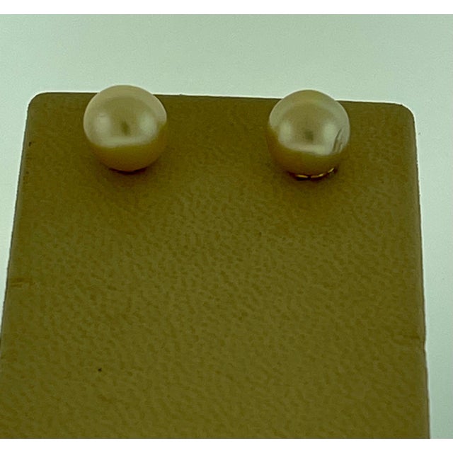 11 MM Golden South Sea Pearl Stud Earrings 18 Karat Yellow Gold pearls are clean but have some scratch or blemishes ....