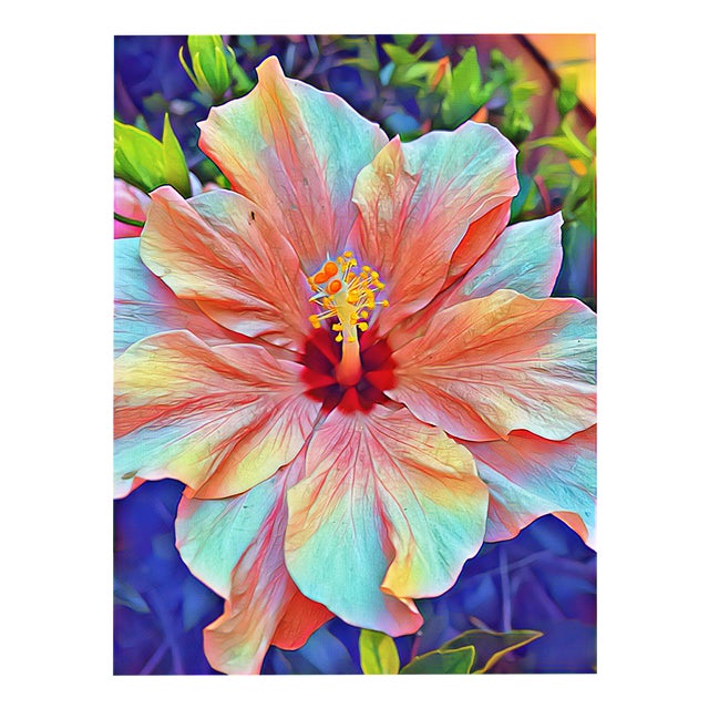 Ian Jones, Vistas De Flora, Print, Set of 25 For Sale