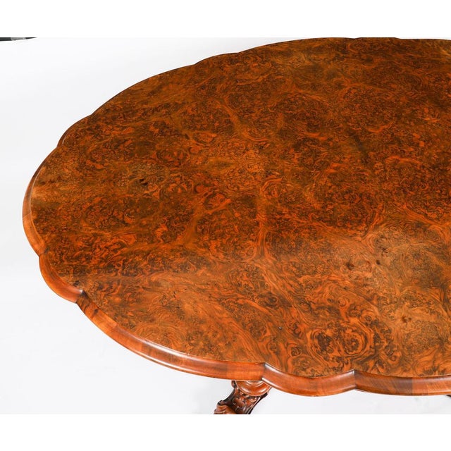 Antique Oval Tilt Top Loo Dining Table in Burr Walnut, 1800s For Sale - Image 5 of 18