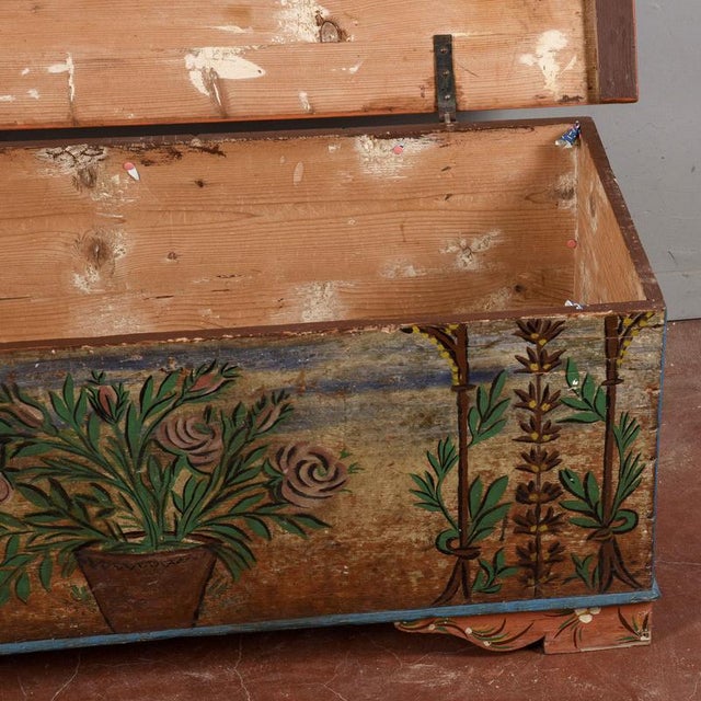 Wood Painted Fir Chest, Early 1900s For Sale - Image 7 of 18