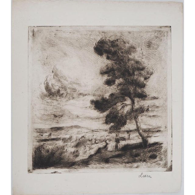 Maximilien Luce, Landscape of Yonne, 1900, Original Etching For Sale - Image 6 of 6