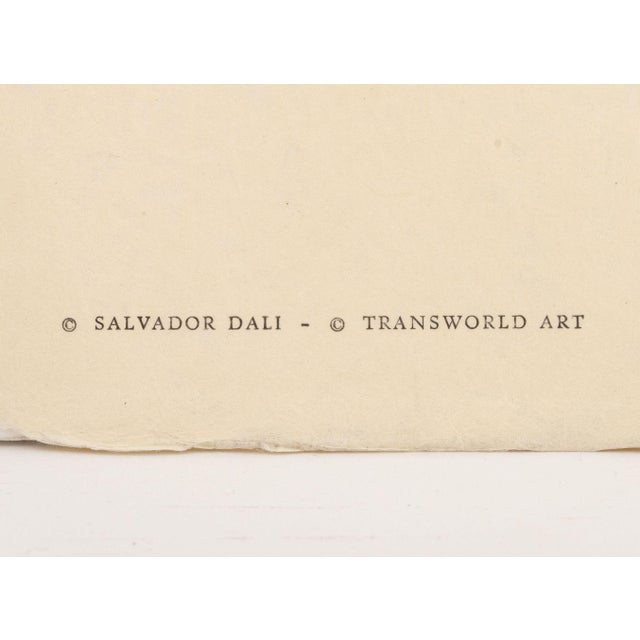 Salvador Dali "The Glory That Was Spain", 1975 For Sale - Image 13 of 14